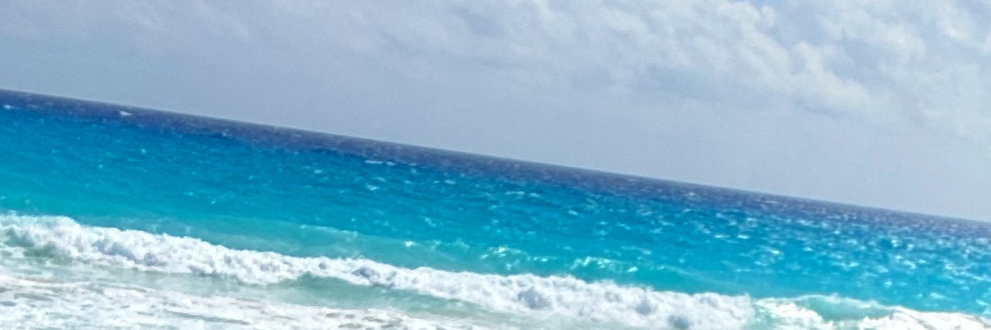 WhoisRJ93's profile banner image