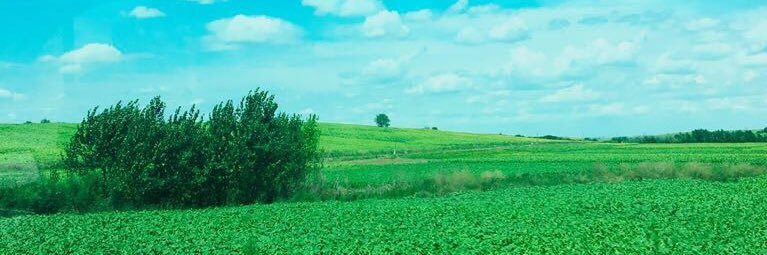 aras_pisket's profile banner image