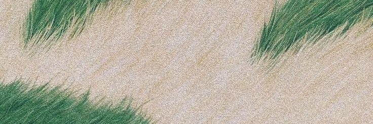 adnr_yk's profile banner image