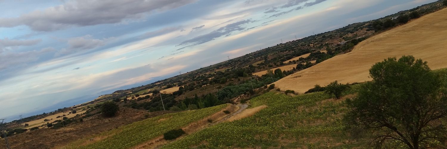 Elenaregi3's profile banner image