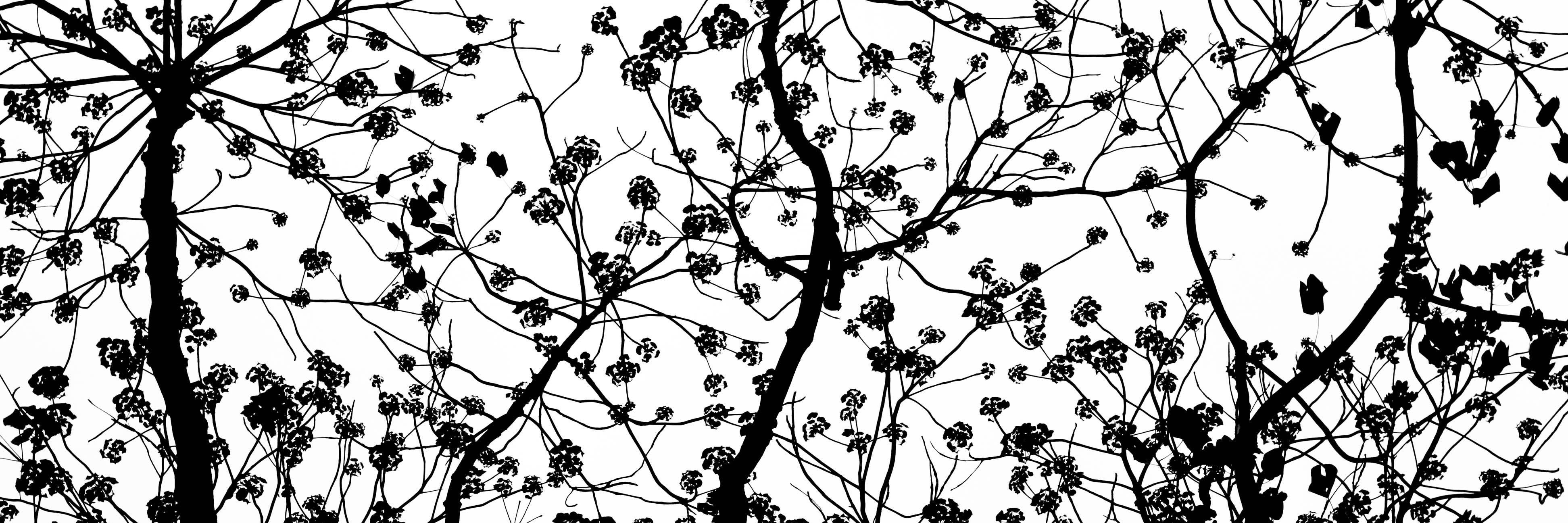 i_taylor0's profile banner image
