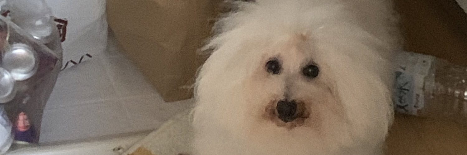 NaotoP10's profile banner image