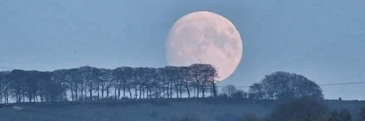 Dr Susan Bissett banner