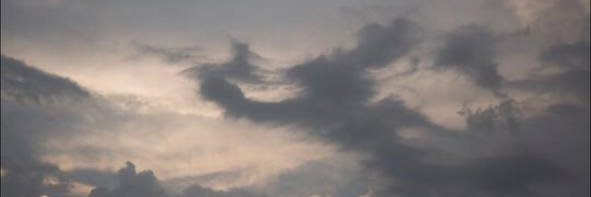 IvyWW271's profile banner image