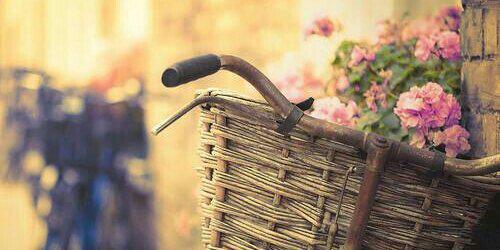 __goly__'s profile banner image
