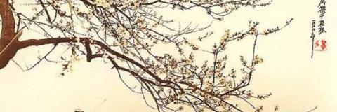 mjinmi's profile banner image