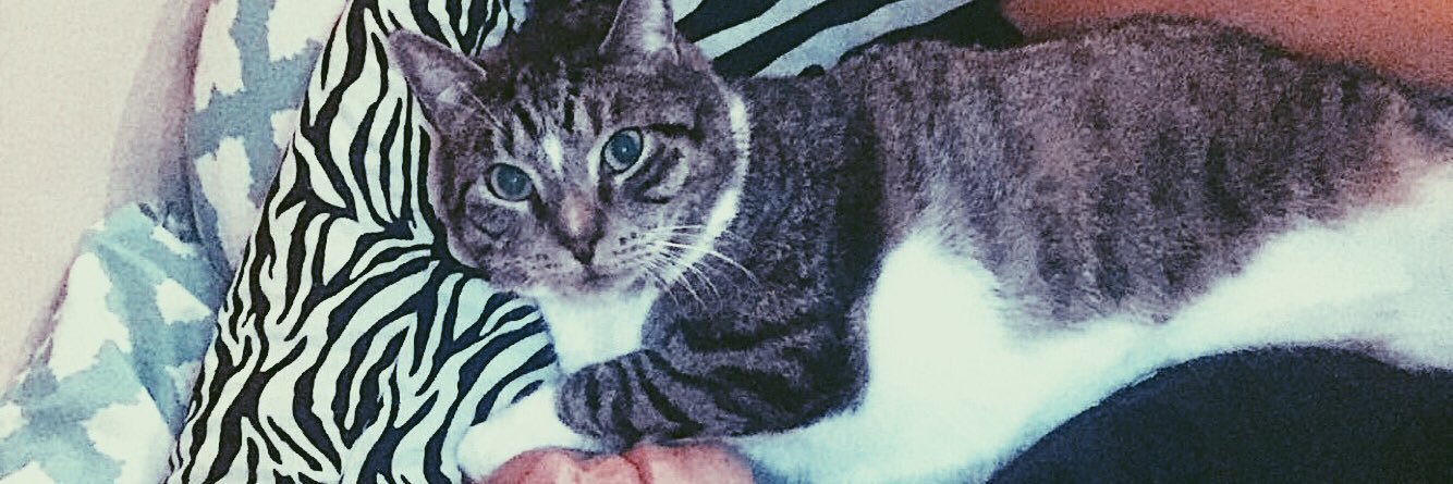 Tizzkhalifaa's profile banner image