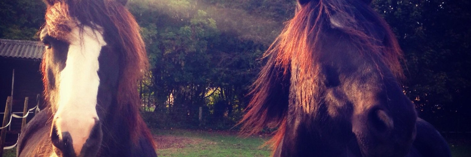 housepethannah's profile banner image