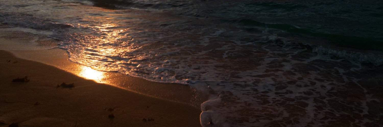 ffrrannccellyy's profile banner image
