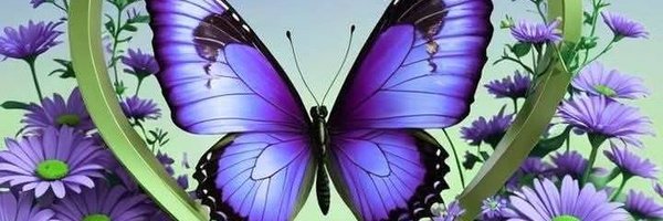 fz1012013 Profile Banner