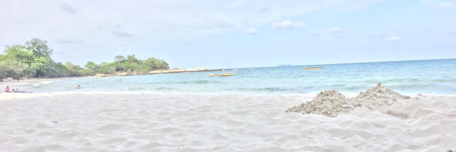PPigasso's profile banner image