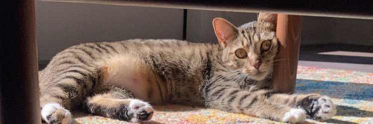 deeelysse's profile banner image
