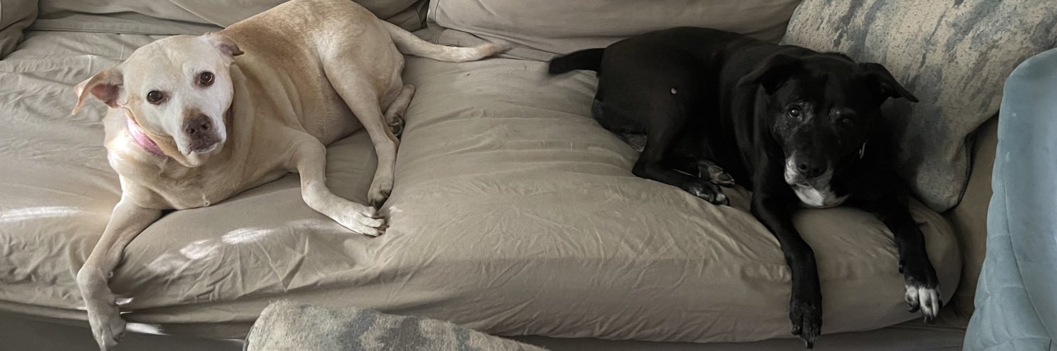 Jackie Gruber banner