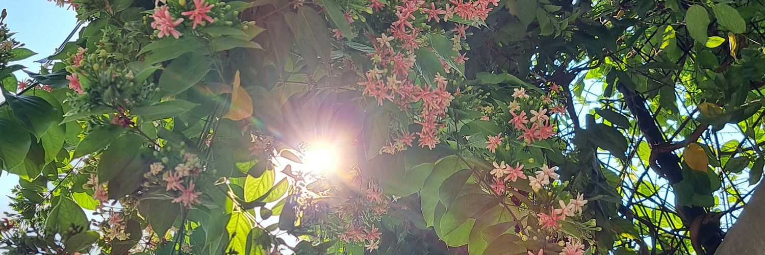 _yoong_lim's profile banner image