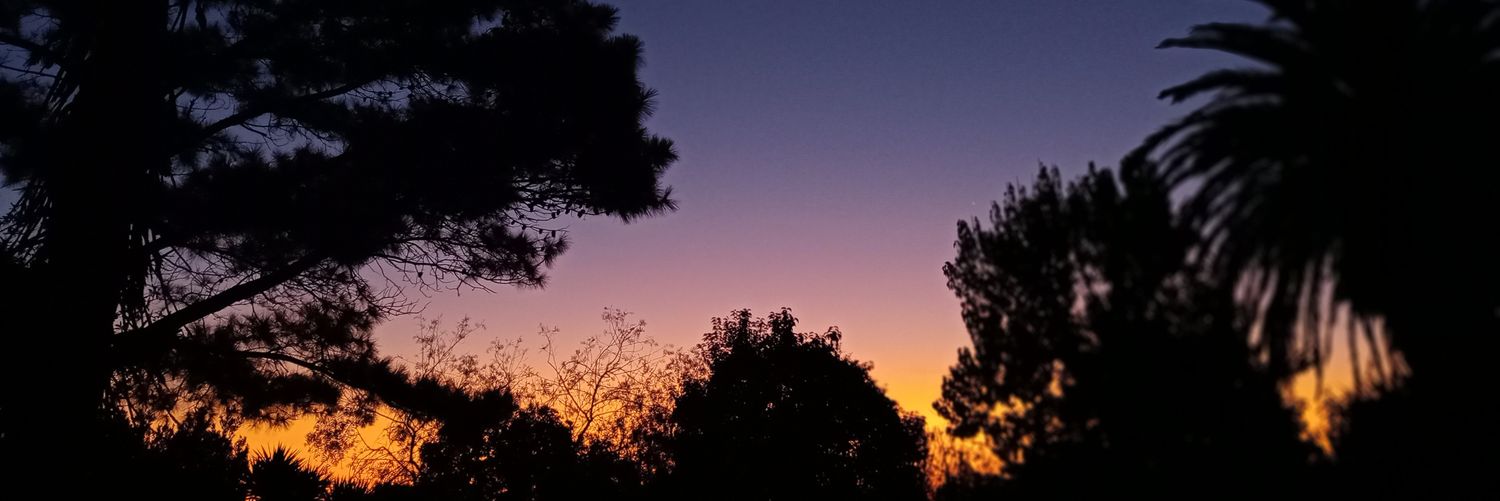 NeryFernandezD's profile banner image