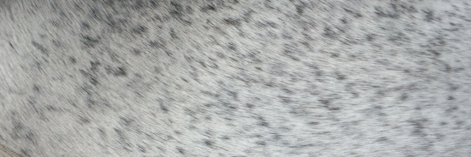 Maria Petrova banner