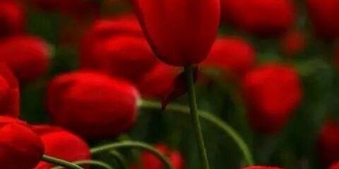 yahia9802gmail1's profile banner image