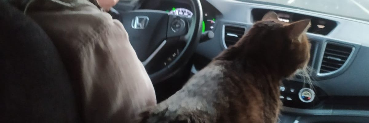 aydineromer's profile banner image