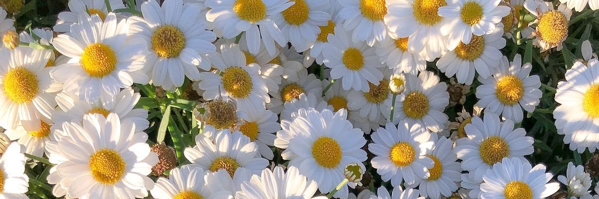 mm_k129's profile banner image