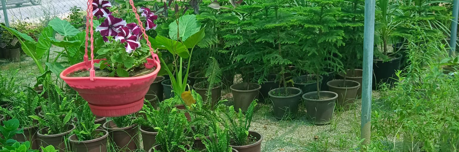 ablalola2's profile banner image