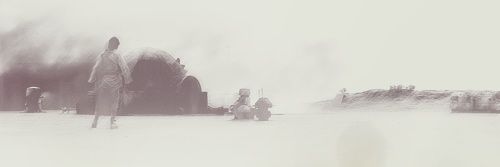 Ancestism's profile banner image