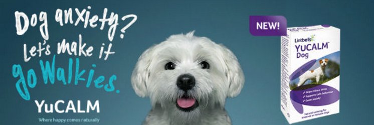doolittlesdisp's profile banner image