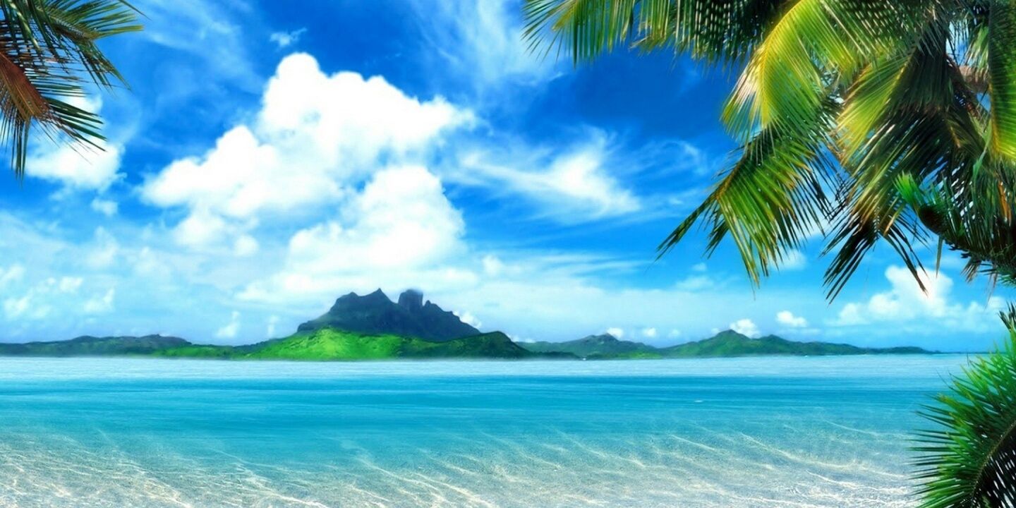 o910594006's profile banner image