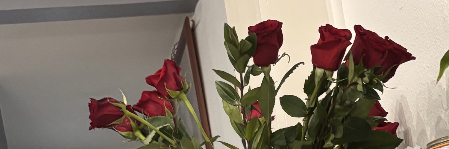 biskee_'s profile banner image
