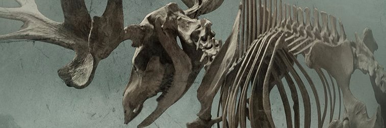 Marcus_Megatron's profile banner image
