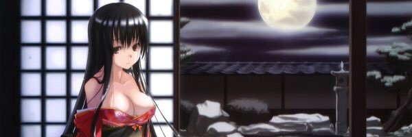 LadyIanite's profile banner image