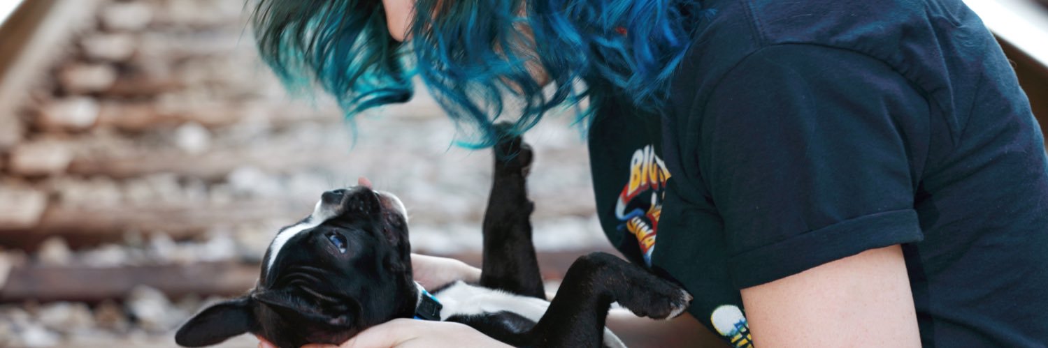 Hannah Selector banner