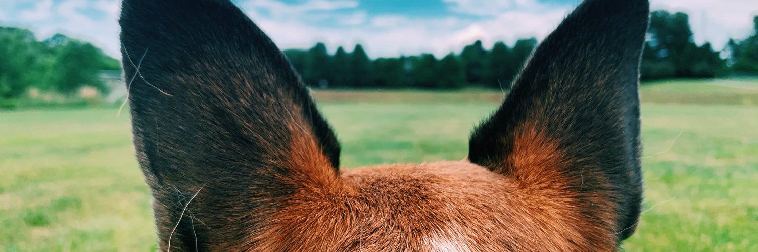 kmill36's profile banner image