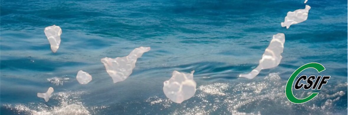 CSIF CANARIAS banner