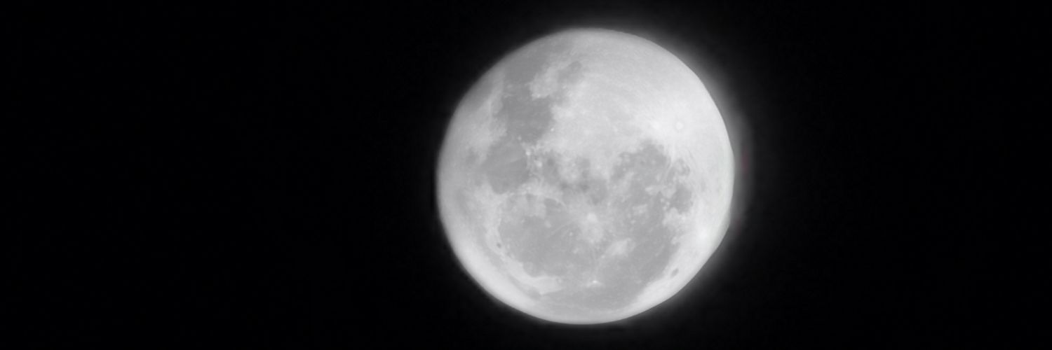 CarooFeris's profile banner image