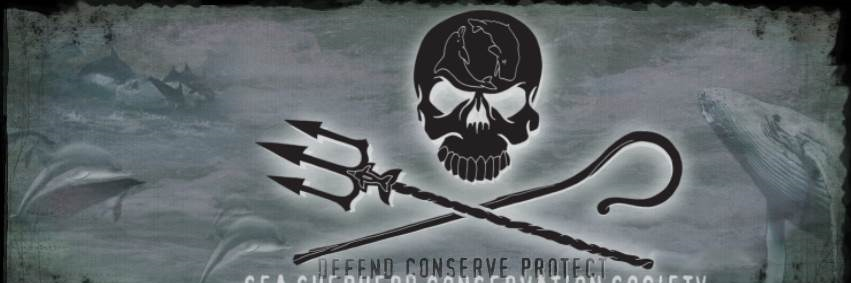 SSCSTampa's profile banner image