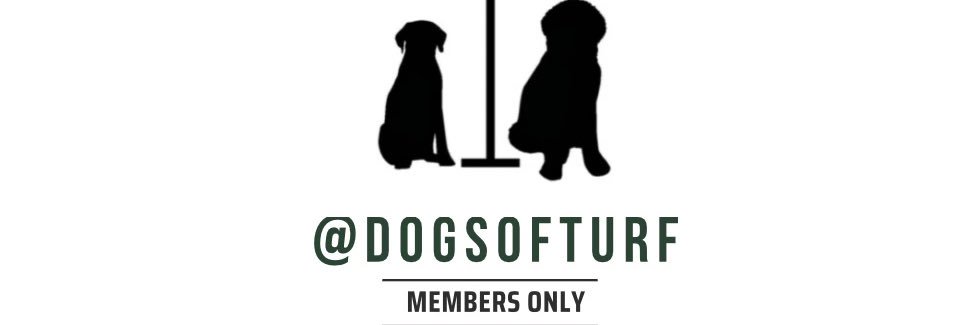 Dogs Of Turf banner
