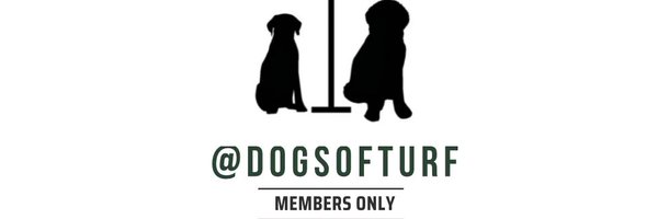 DogsOfTurf Profile Banner