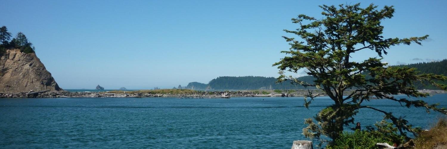 Paweł Zaborski banner