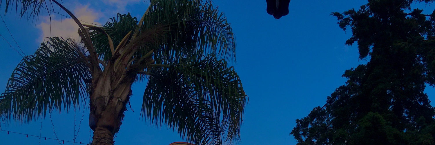 MayrinMH's profile banner image