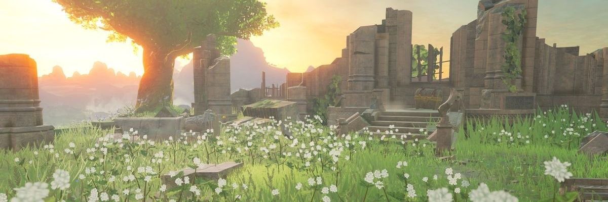 snapster02's profile banner image