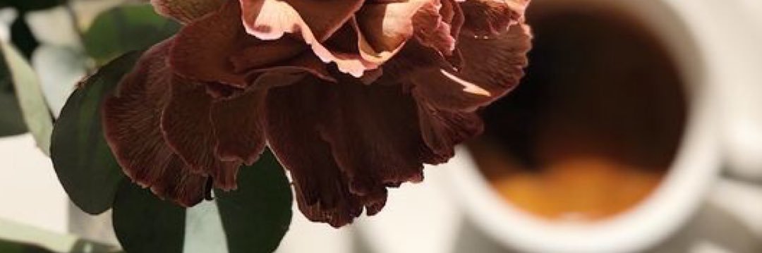 adriluhm's profile banner image