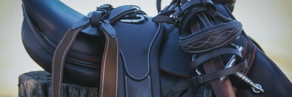 bridlesandreins's profile banner image