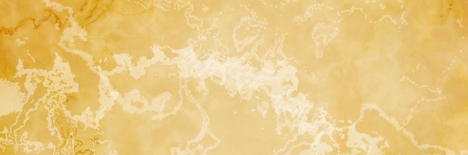 vmsvna's profile banner image