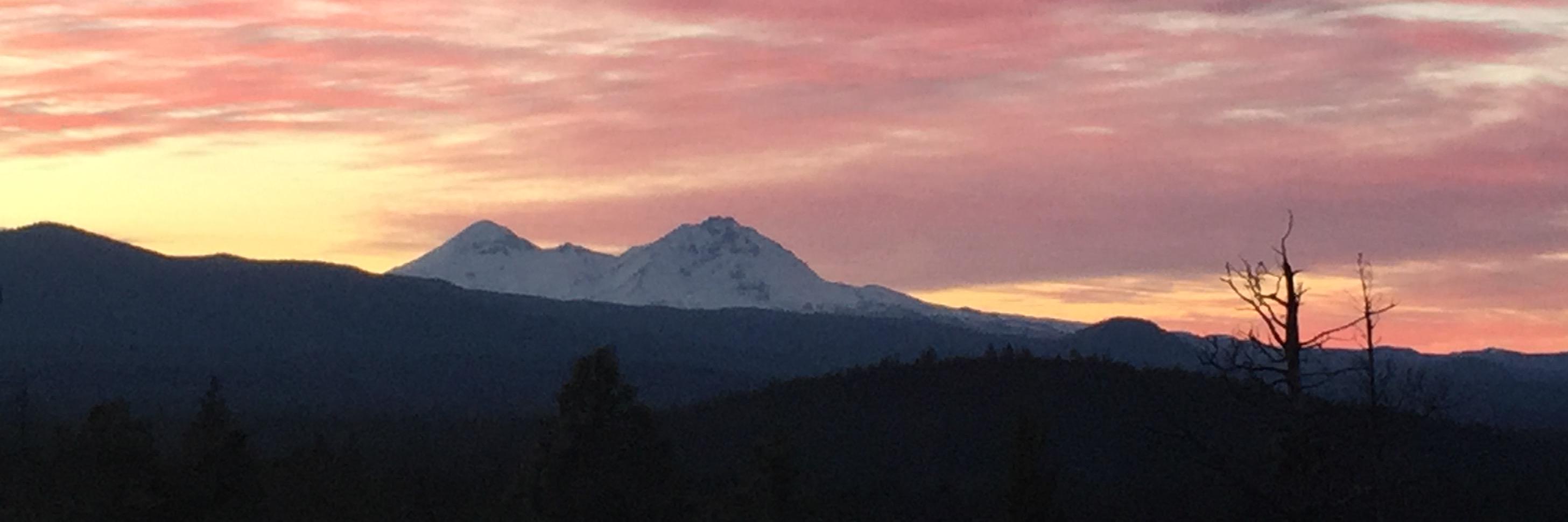 Purposeful Action banner