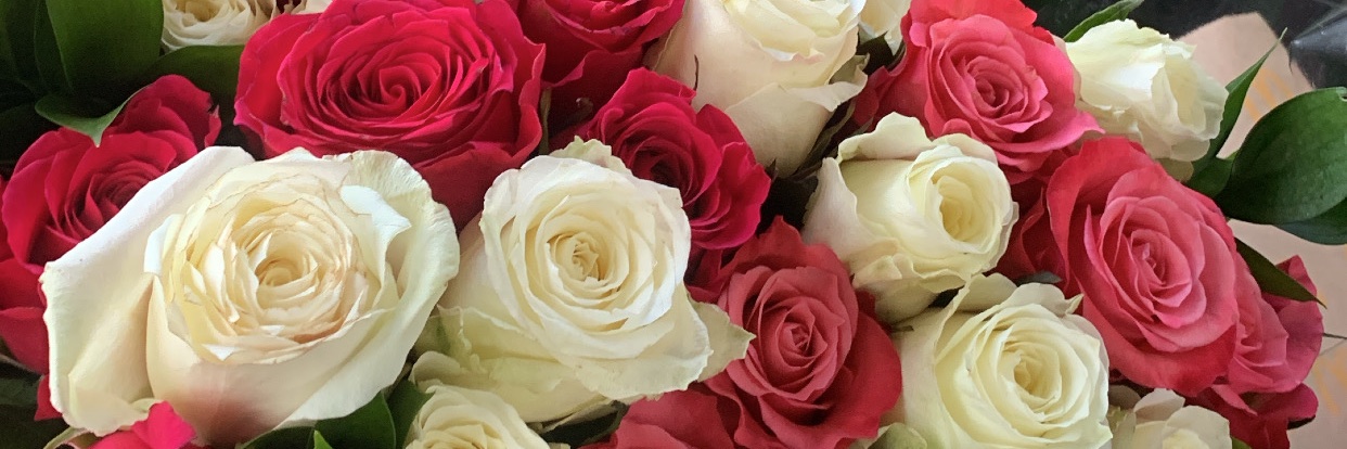 LadyyKP's profile banner image