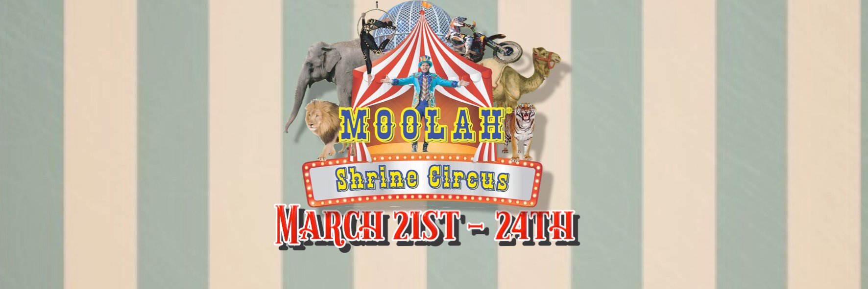moolahcircus's profile banner image