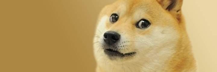 MeGo0o22's profile banner image