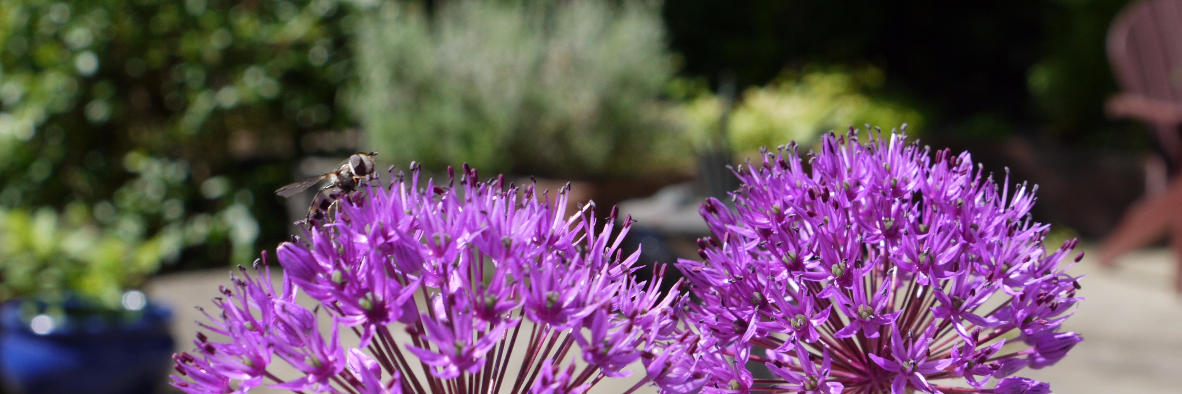 MsAndiRoberts's profile banner image