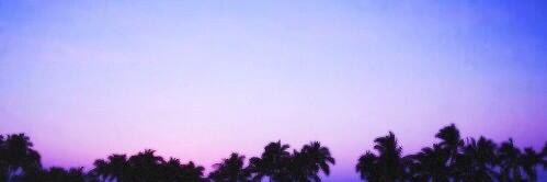 JustifyMyNut's profile banner image