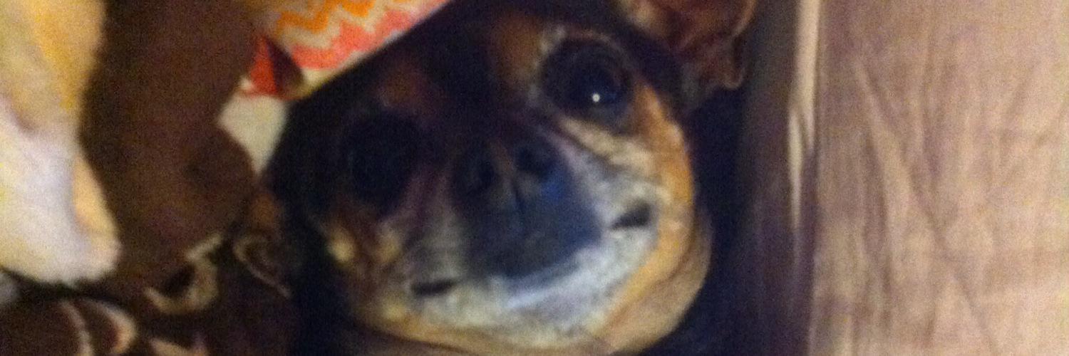 Taluccio75's profile banner image
